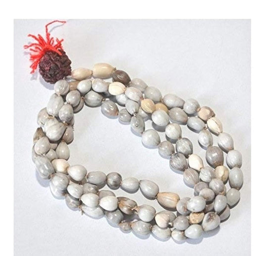 Original Rudraksha Vaijayanti Mala  "Spiritual Strength, Everyday"
